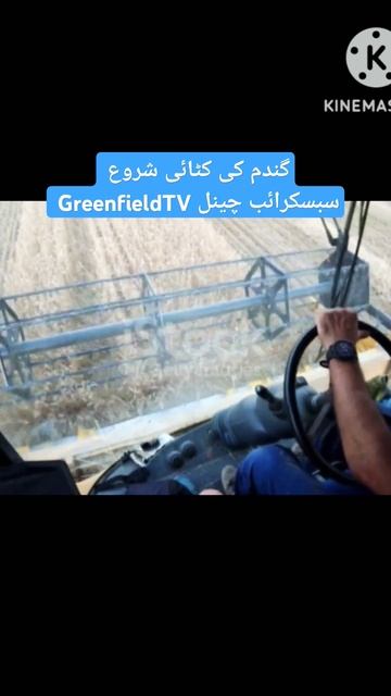 Combine harvester|wheat harvest machinery|gandam ki katai wali machine|Wheat harvesting|greenfieldT