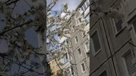 Тропы шерстяных кочевников