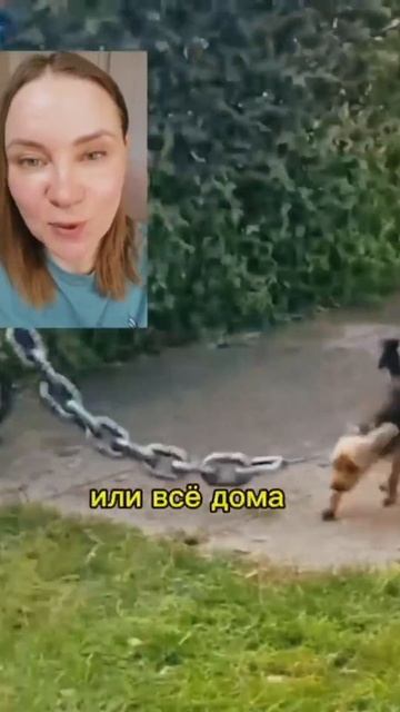 #осозналка демоны на цепи