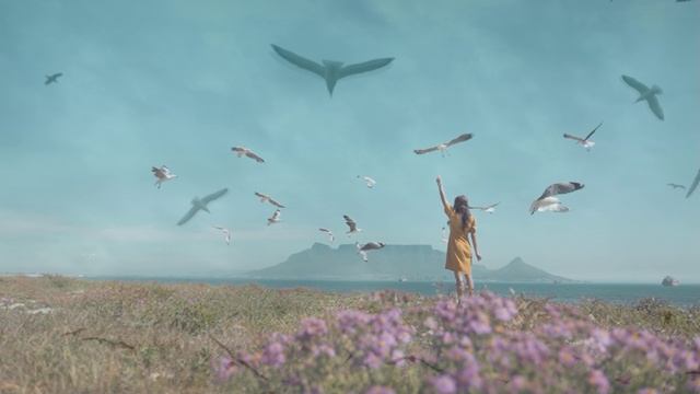 Михаил Солдатов - Птицы