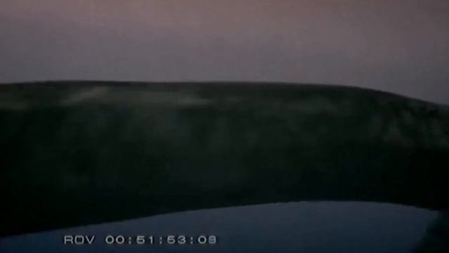 What If Tylosaurus Didn't Go Extinct?