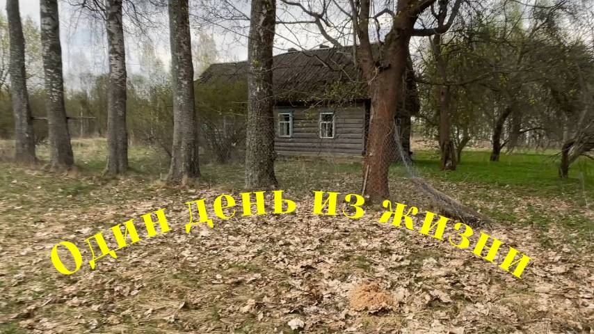 Коп 2025. Рыбалка. Исследование новых мест