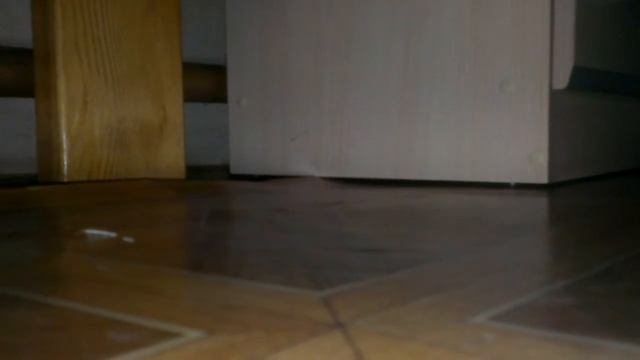 24 сима челенж