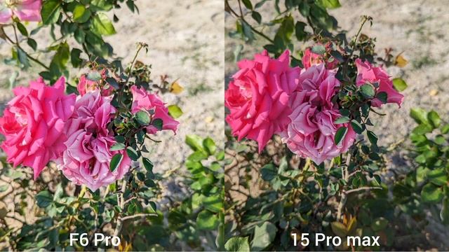 Poco F6 Pro vs iPhone 15 Pro max camera test