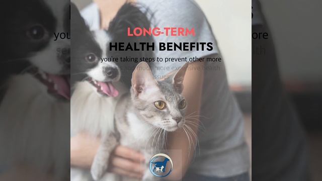 How can you prolong the benefits of your pet’s teeth cleaning visit?
