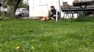 Банда МАША ,ПЧЕЛ ,ЗИРКА и ЗЕМА