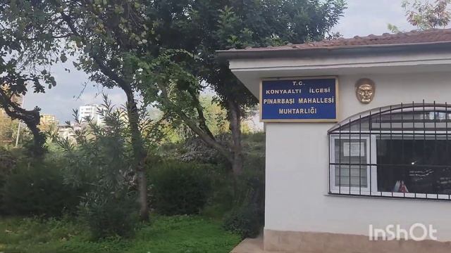 ЗАМОРСКИЕ ДЕЛИКАТЕСЫ В АНТАЛИИ ДОРОГИЕ🤪🛑КОНЬЯАЛТЫ 5 МИГРОС🧿#напмжванталию #переездвтурцию #анталия