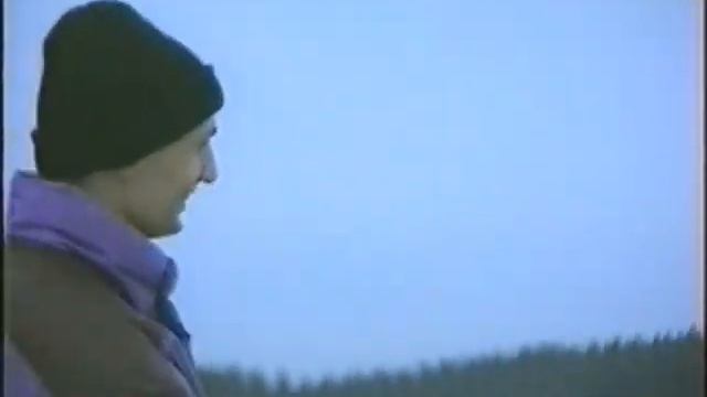 на лошади