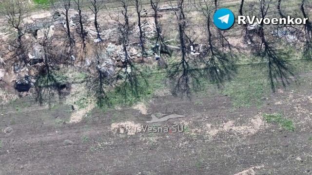 Спецназ «Анвар» уничтожает линии обороны ВСУ, поддерживая наступление в Сумской области