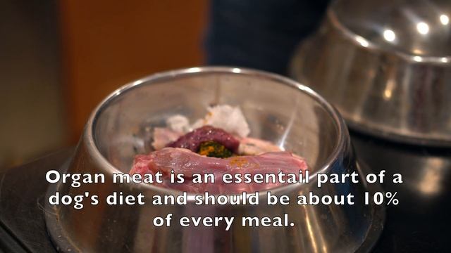 Thanksgiving Feast For Dogs (Raw Feeding Guide For Dogs 2)