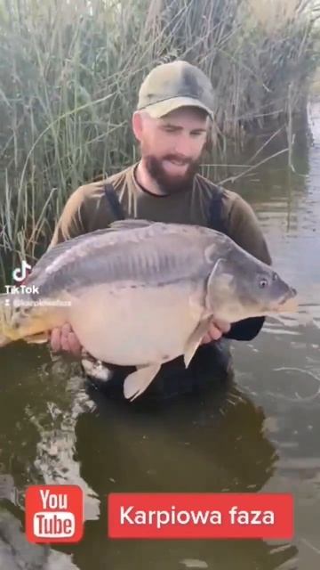 karpiowanie - życiowa pasja🔥❗.           #karp #nowe #karp