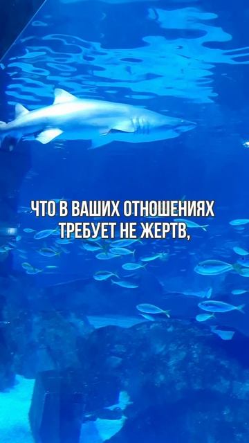 ЗАБЛУЖДЕНИЕ О ЛЮБВИ.
 
#правилажизни
#поверьвсебя 
#психологиядостижений 
#Замалевский