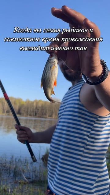 А как вы проводите свободное время   #рыбалка  #рыбаки #рекомендации #прикол #отдыхнаприроде