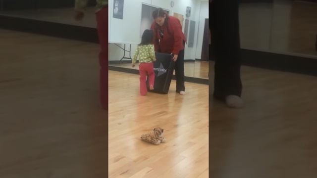 Gabby first time private karate lesson