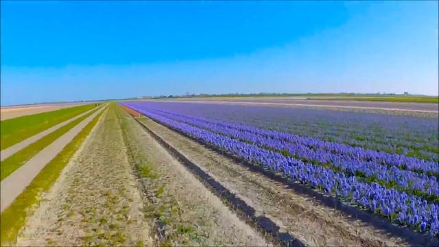 fpv over holland