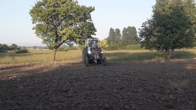 Трактор Юмз тянет канал Yumeze traktor ox çəkir 🇦🇿