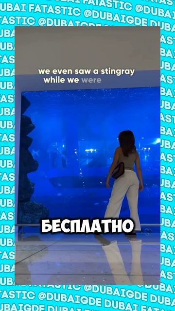 Секретное место в Дубай Молле