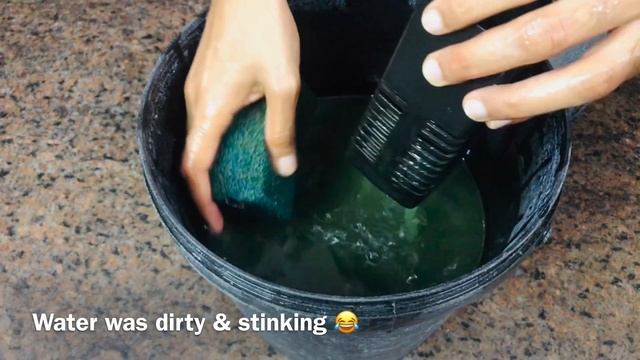 Turtle Tank Cleaning Tips | Turtle Aquarium Cleaning | Turtle Tank Cleaning basics | Turtle Aquariu