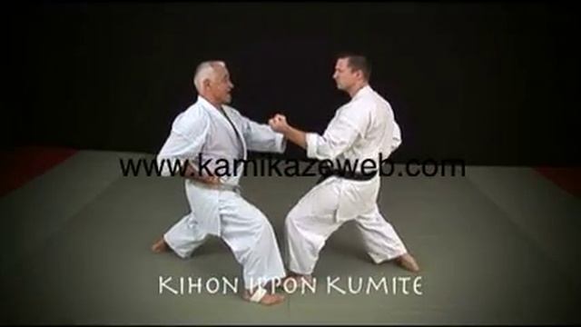 VISION DU KARATE-DO Vol. 3 Shotokan Ryu Kase Ha J.P. Lavorato