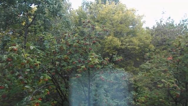 Забью  на   работу ,  пойду   лучше   в  отпуск .