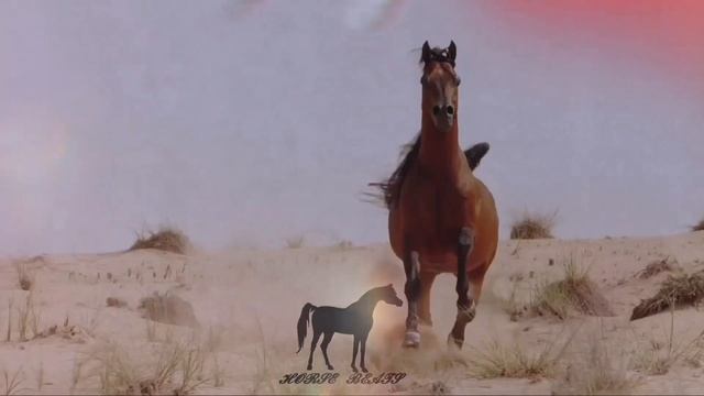 Soul,Raikaho-Ты забыла меня,стоп пауза(2022)