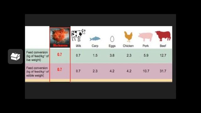 Aquaculture Potential of Blackworms Lumbriculus varieagatus