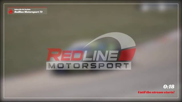 🏎️⚡ ГОНКА НА ГРАНИ! RLM Honda NSX Mini Champ на Suzuka с комментарием — РУЛЬ ПЫТАЕТСЯ УЙТИ В ОТСТАВ