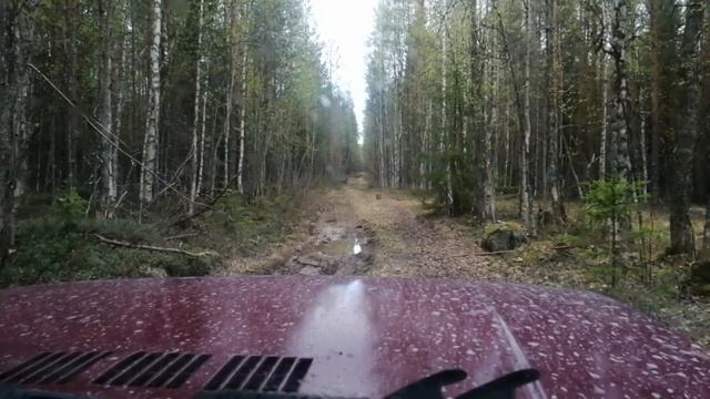 Коп металла и снова УЖД