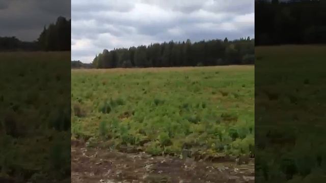 Уборка картофеля 2018 год - 8 343 300-92-06