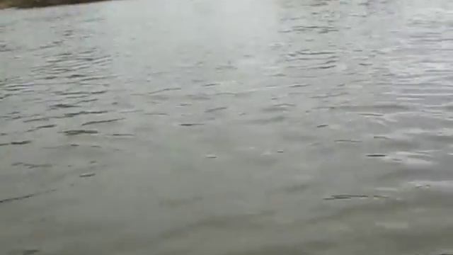 Велопереправа через Птичь