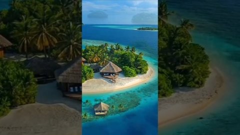 ✨природа разные виды 🌲💫