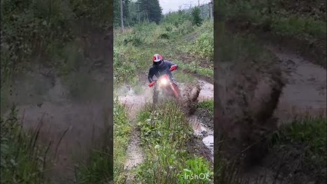 Нырнул в лужу