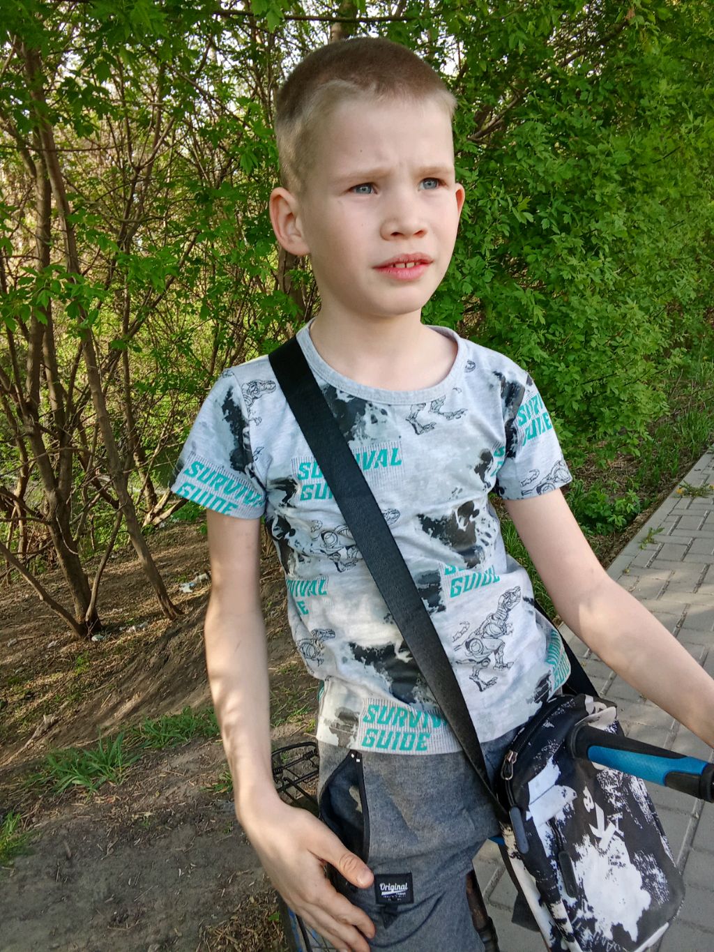Проверка дтп на велосебедах