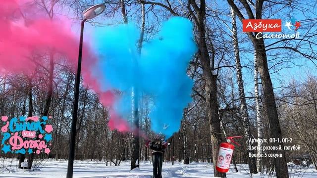ОP Баллон с порошковой краской для гендер пати