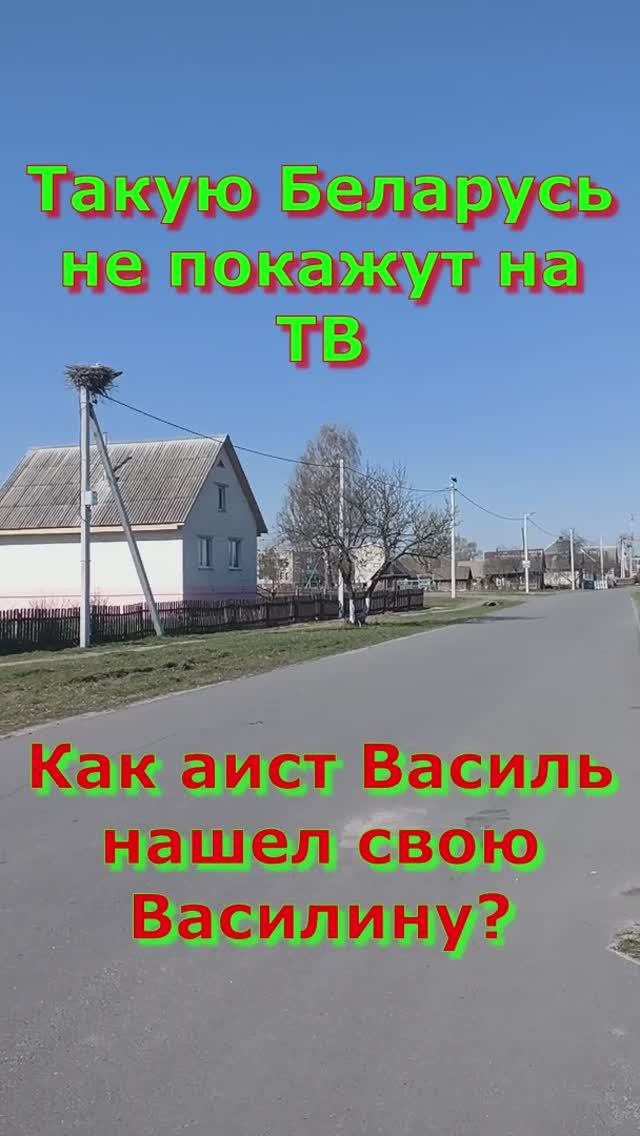 Такую Беларусь не покажут на ТВ.