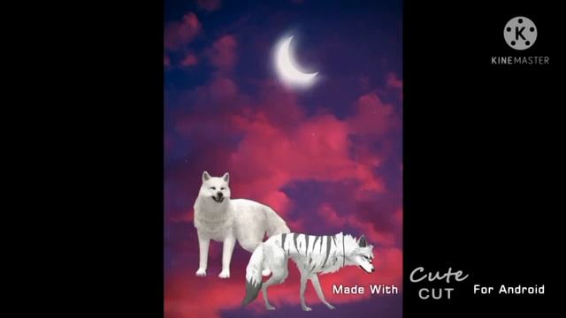 ||WCMV||Ты пари [Collab-солнечная маргаритка]