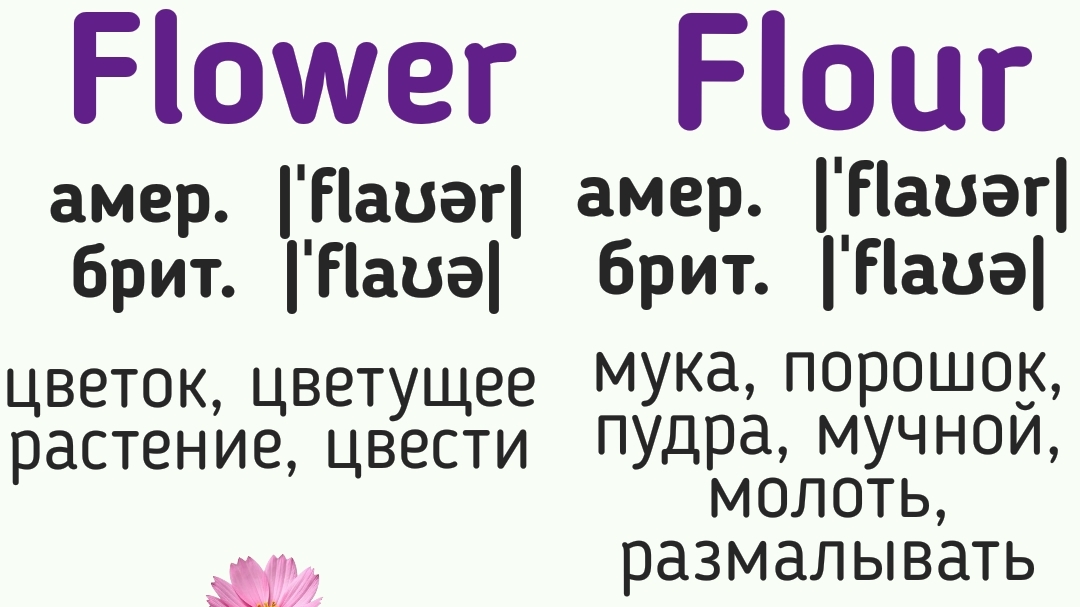 Похожие по звучанию/написанию слова (с разным значением)👉flower/flour