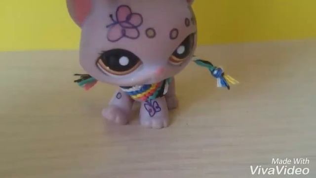Прохожу тест кто я из семейства кошачьих