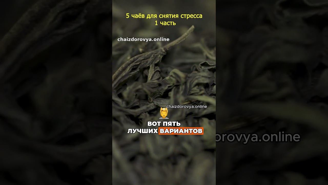 5 чаёв для снятия стресса часть 1 #баймудань #гармония #антиоксиданты