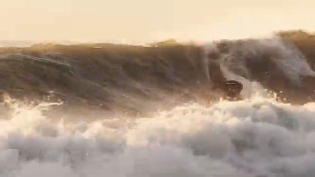 WE LOVE SURF - Holiday