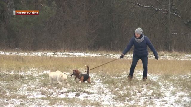 Новости Гродно. Налог на домашних питомцев. 10.01.2019