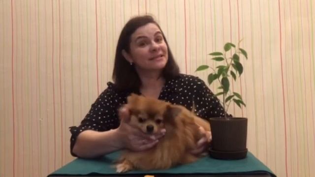 Собачка и щенок (часть 2) Породы собак.