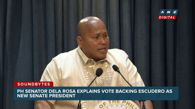 Dela Rosa to Zubiri: 'Sorry, boss, I failed to win the war for you' | ANC
