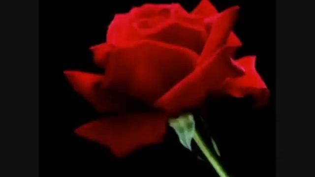 Whitney Houston - My Love Is Your Love (with Lyrics)
