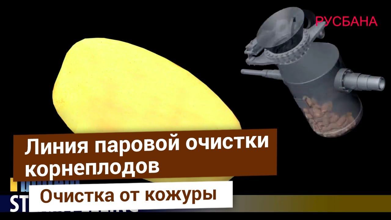 Паровые очистители для корнеплодов. Картофель, морковь и свекла