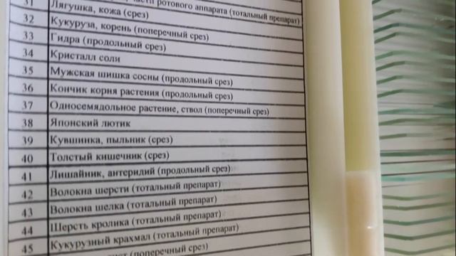 Новое объединение Новые возможности