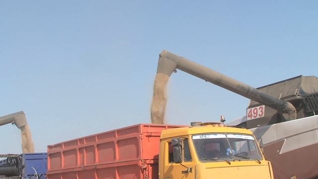 Ставропольский Край. Золотаревский дом культуры. Комбайнеры 2021.