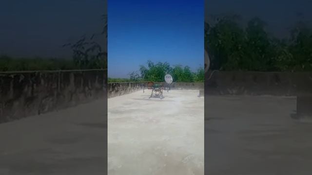 Pesticide spray By High tech Dron system at my Moringa Farm