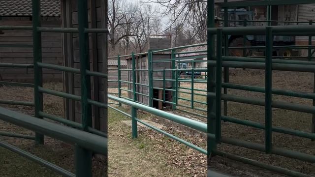 Сегодня мы расскажем вам про Приокско-Террасный государственный природный биосферный заповедник расп