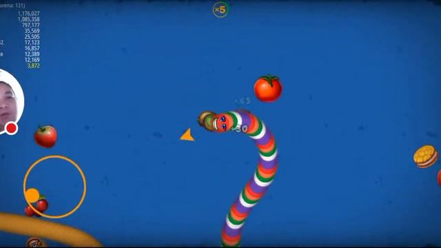 #WormZone.Io | Try My luck Again To Become rank 1